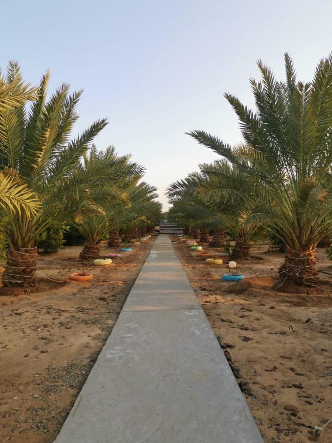 Almazham Camp Resort Al Ula Luaran gambar