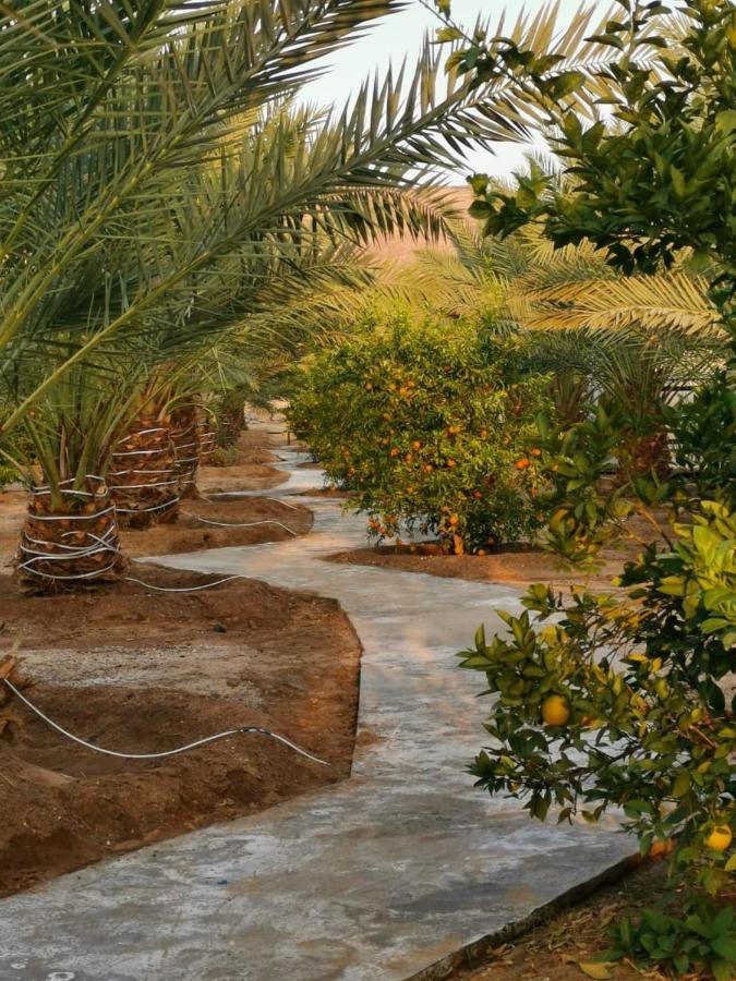 Almazham Camp Resort Al Ula Luaran gambar