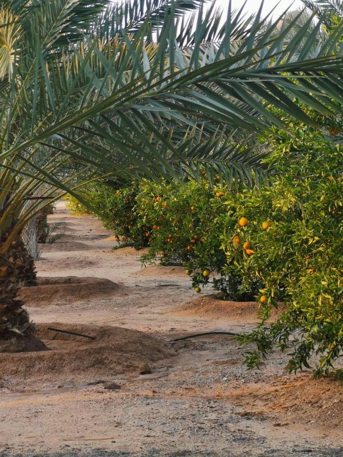 Almazham Camp Resort Al Ula Luaran gambar